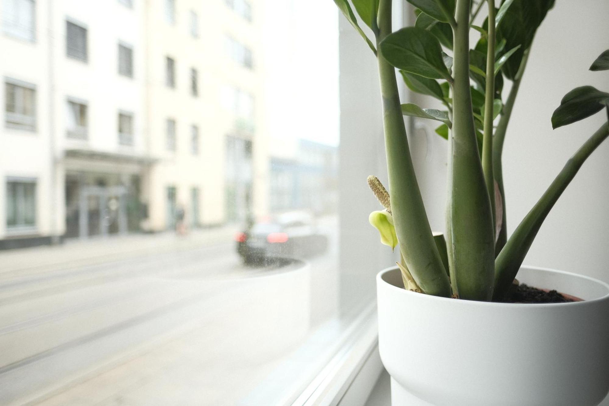 Apartments Zur Alten Konditorei Schwerin  Bilik gambar